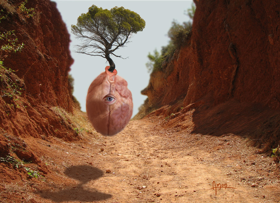 Eye, photographie, montage numrique