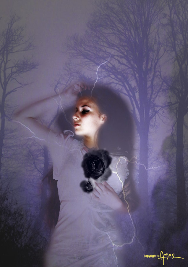 ady Oara, montage numrique